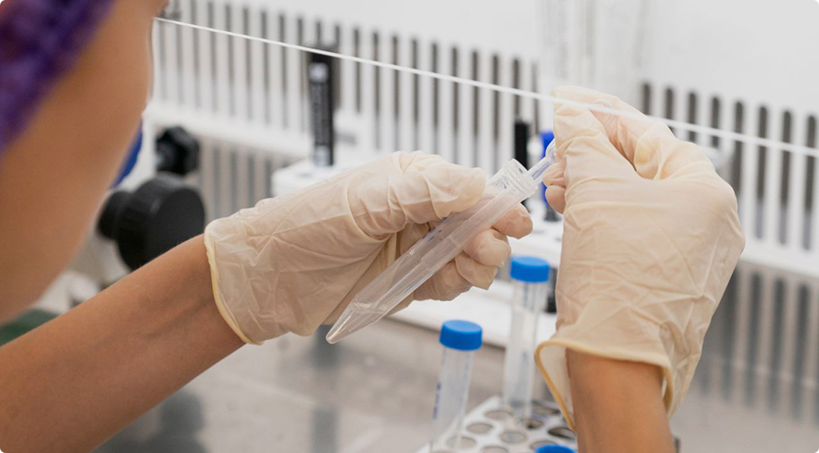 Главное изображение