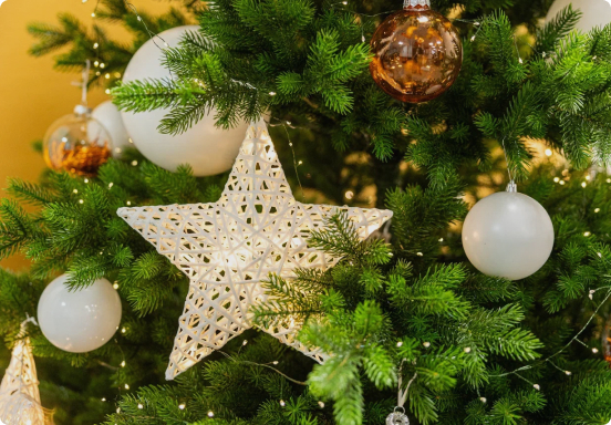 Анастасия Ракова рассказала о появлении на улицах Москвы «Добрых елок» с пожеланиями